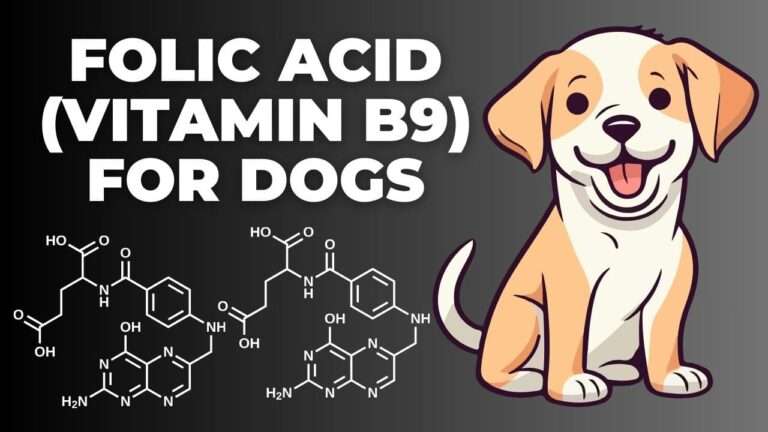 Folic Acid (Vitamin B9) for Dogs | Folic Acid Facts