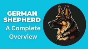 German Shepherd | A Complete Overview