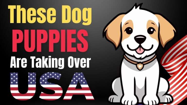 15 Fastest-Growing Dog Breeds in the USA