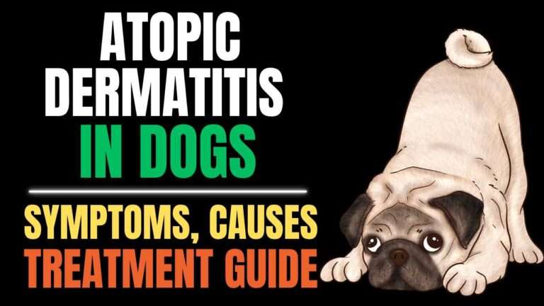 Atopic Dermatitis in Dogs: Complete Guide to Causes and Cures