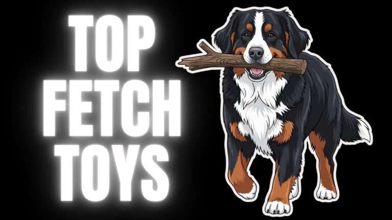 Best Fetch Toys for Endless Outdoor Fun