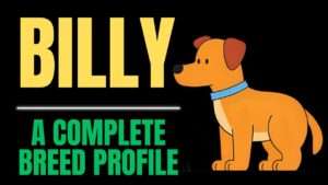 Billy Dog