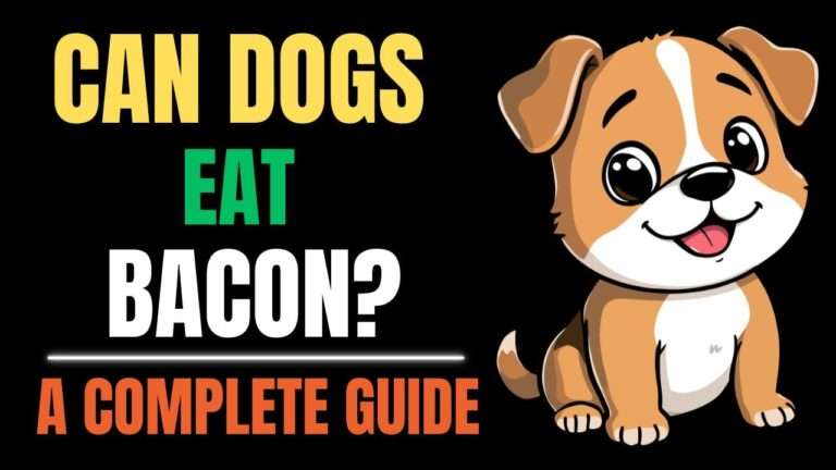 Can Dogs Eat Bacon? A Complete Guide