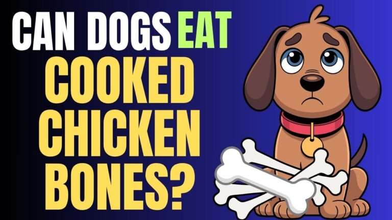 Can Dogs Eat Cooked Chicken Bones?
