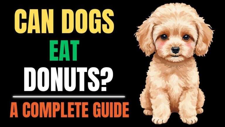 Can Dogs Eat Donuts? A Complete Guide
