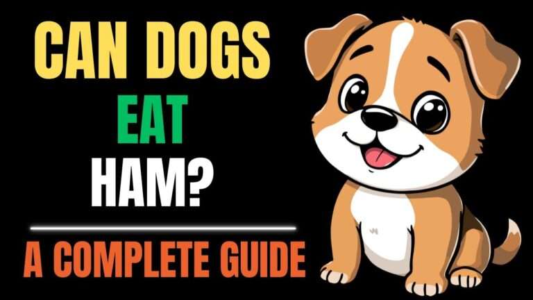 Can Dogs Eat Ham? A Complete Guide