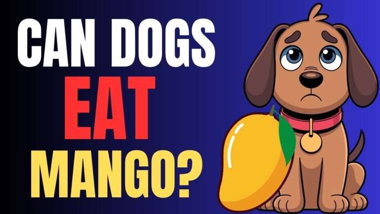 Can Dogs Eat Mango?