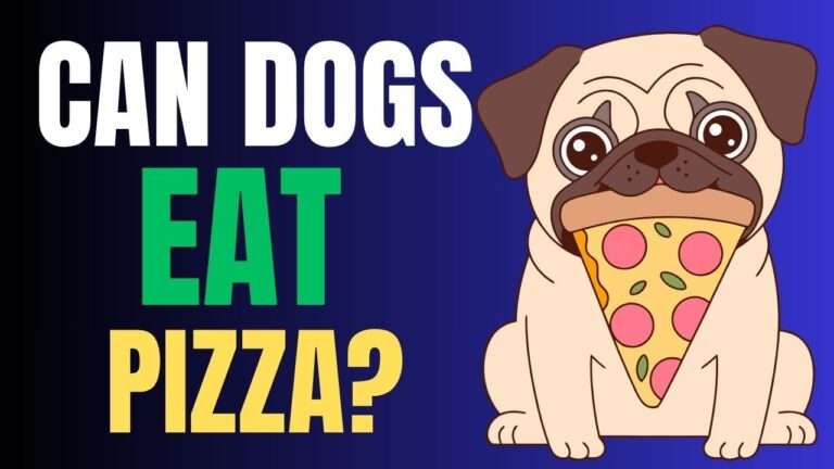 Can Dogs Eat Pizza?