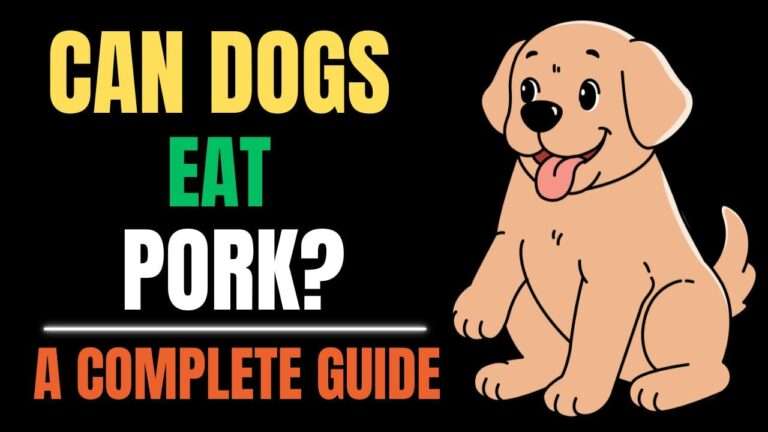 Can Dogs Eat Pork? A Complete Guide