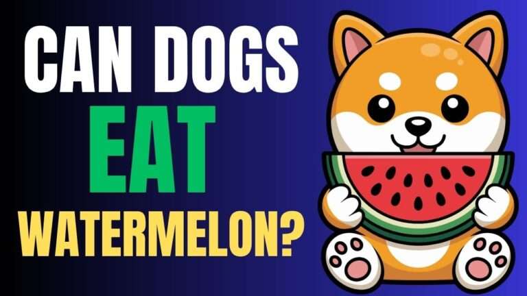 Can Dogs Eat Watermelon?