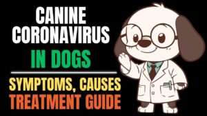Canine Coronavirus in Dogs: Symptoms, Diagnosis, and Treatment