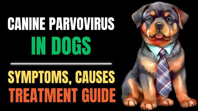 Canine Parvovirus (Parvo): Symptoms, Causes & Treatment Guide
