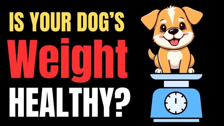 Dog Healthy Weight Calculator