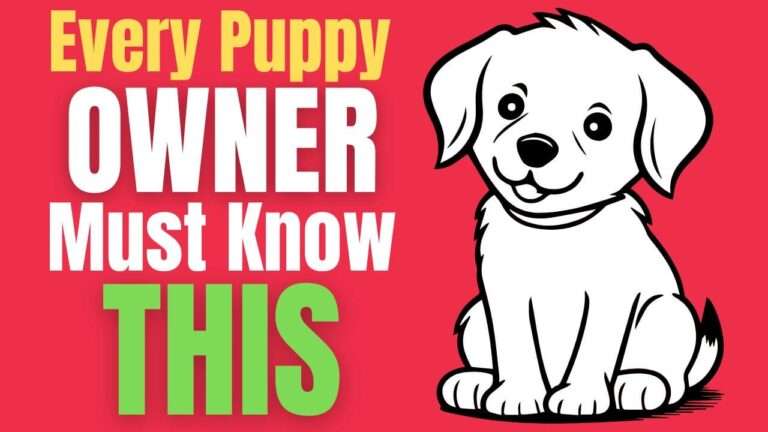 Every Puppy Owner Must Know This