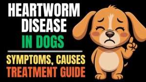 Heartworm Disease in Dogs: Symptoms, Diagnosis, and Treatment