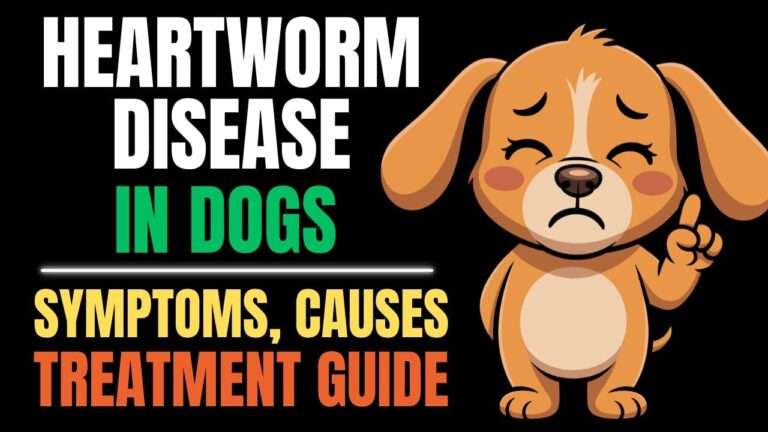 Heartworm Disease in Dogs: Symptoms, Diagnosis, and Treatment