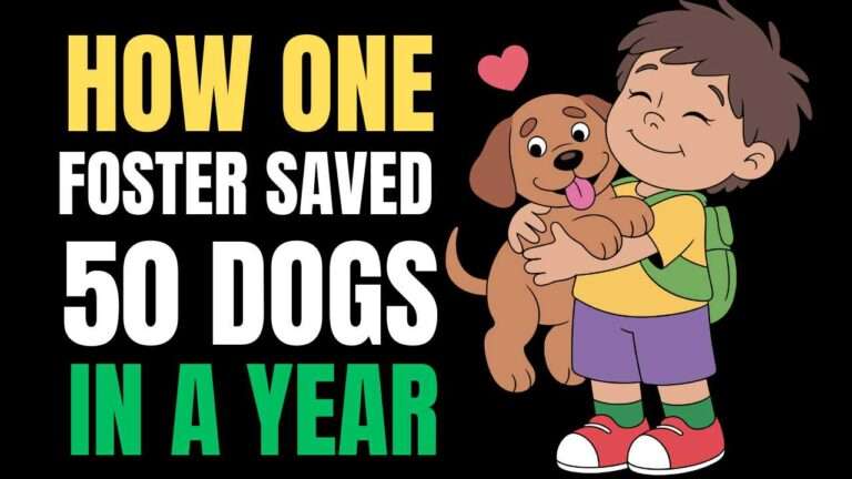 How One Foster Saved 50 Dogs in a Year