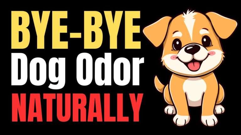 How to Remove Dog Smell from Carpets Naturally