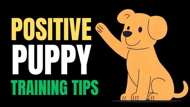 Positive Reinforcement Techniques Every Puppy Loves