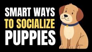 Smart Ways to Socialize Puppies