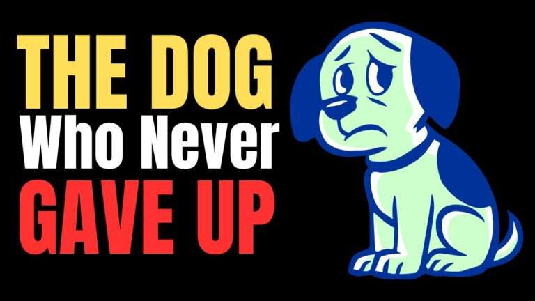 The Dog Who Walked 50 Miles to Find His Owners