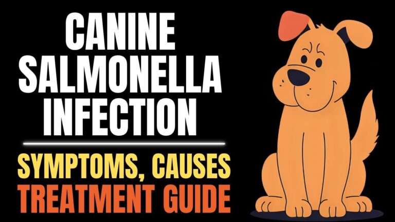 Understanding Canine Salmonella Infection
