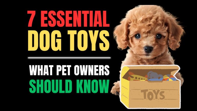 7 Essential Dog Toys