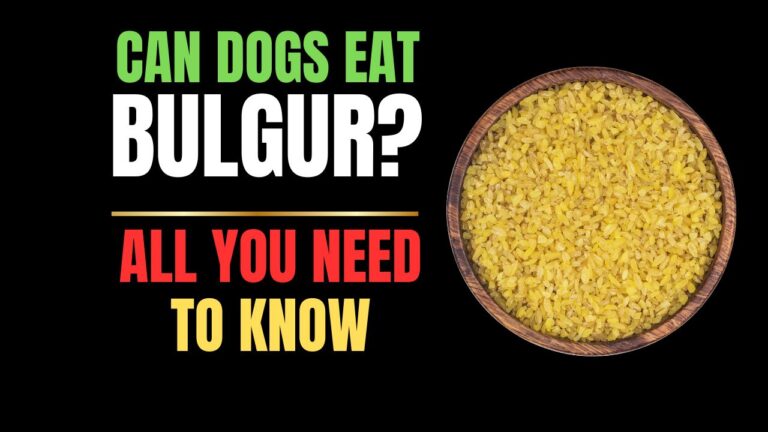 Can Dogs Eat Bulgur?