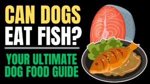 Can Dogs Eat Fish?