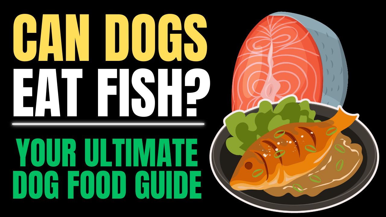 Can Dogs Eat Fish?