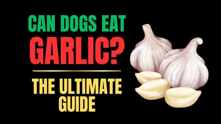 Can Dogs Eat Garlic?