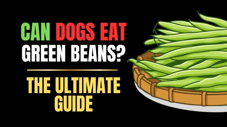 Can Dogs Eat Green Beans?