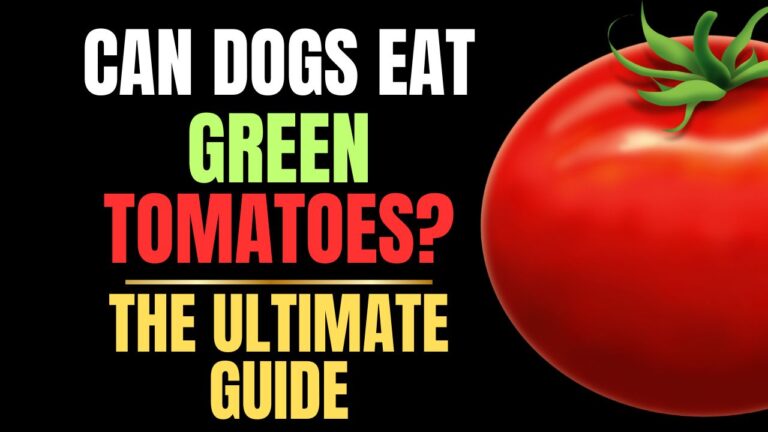Can Dogs Eat Green Tomatoes?
