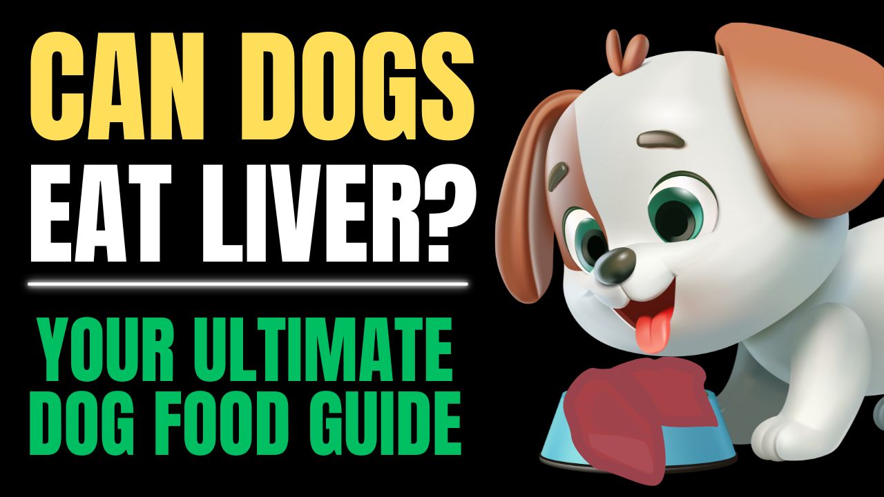 Can Dogs Eat Liver?