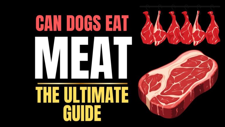 Can Dogs Eat Meat?