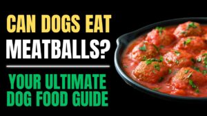 Can Dogs Eat Meatballs?
