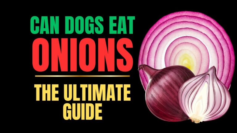 Can Dogs Eat Onions?