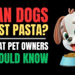 Can Dogs Eat Pasta? What Pet Owners Should Know