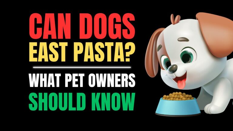 Can Dogs Eat Pasta? What Pet Owners Should Know