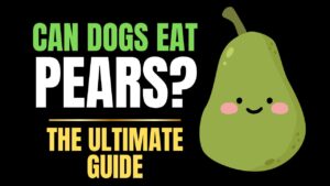 Can Dogs Eat Pears?
