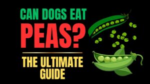 Can Dogs Eat Peas?