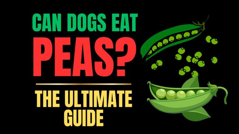 Can Dogs Eat Peas?