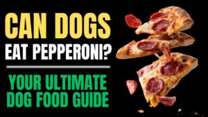 Can Dogs Eat Pepperoni?
