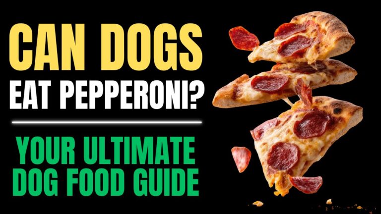 Can Dogs Eat Pepperoni?