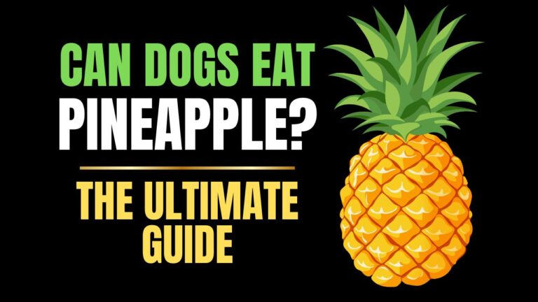 Can Dogs Eat Pineapple?