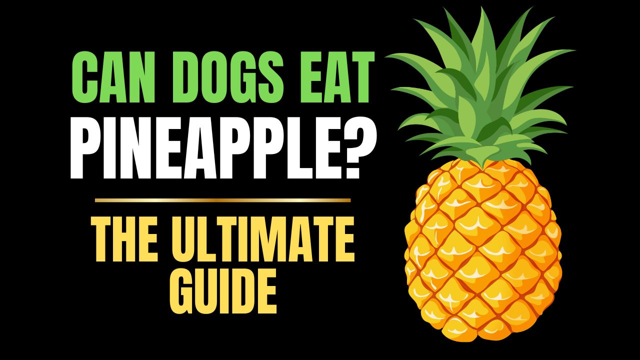 Can Dogs Eat Pineapple?