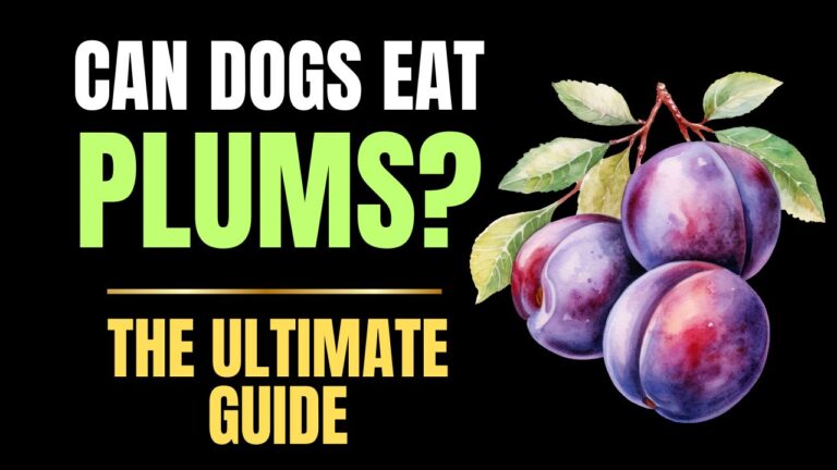 Can Dogs Eat Plums?