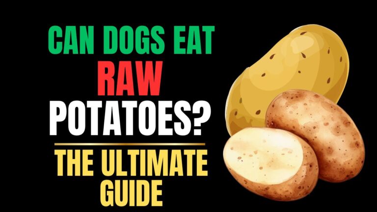 Can Dogs Eat Raw Potatoes?