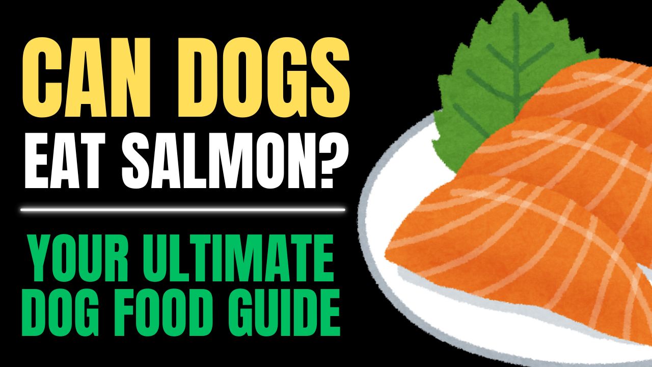 Can Dogs Eat Salmon?