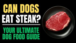 Can Dogs Eat Steak?
